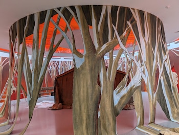 Las autoridades flamencas suspenden la