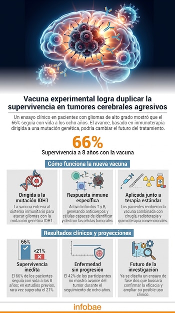 Infografía de cerebro, células tumorales, anticuerpos y ADN. Gráficos de barra y línea, símbolos médicos. Texto sobre vacuna experimental para gliomas y sus resultados.