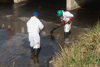 IMAGEN DE REFERENCIA: Derrame de