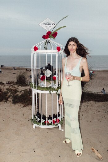 Hendrick's Gin-InHouse