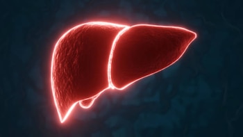 Esta es la fruta que