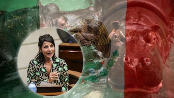 Irene Vélez respondió a quienes afirman que Colombia no ha querido enviar los hipopótamos de Pablo Escobar a México