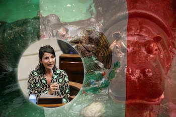 Irene Vélez - Hipopótamos - México