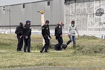 Los elementos confirmaron que se