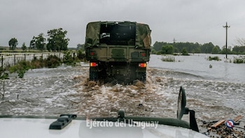 Aumentan los evacuados en Uruguay: los ríos crecen y productores movilizan ganado por las inundaciones