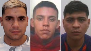 Ibarra, Llanos y Cabral, los