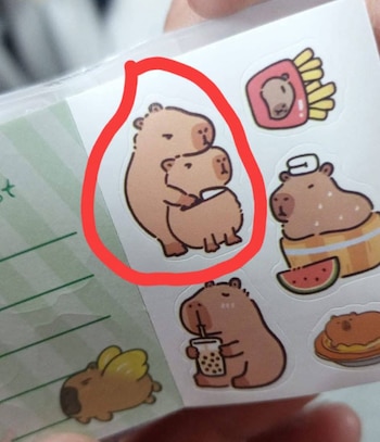 Estas son las ilustraciones que