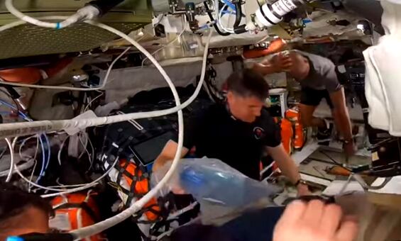 Cada astronauta dedica treinta minutos diarios al entrenamiento físico a bordo de la nave Orión (NASA).