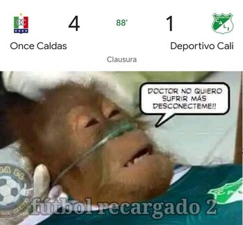 Memes Cali
