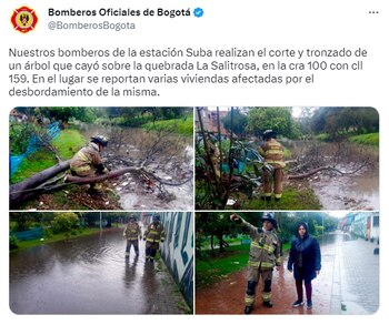 Bomberos de Bogotá atendió una emergencia en Suba por cuenta de un arbol caído a causa de las lluvias del 18 de febrero de 2023
