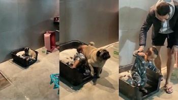 Video: mamá sorprende a su