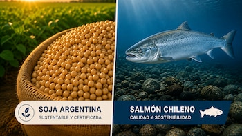 Cuando la soja reduce la huella del salmón: el desafío de conectar producción y sostenibilidad