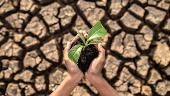 El escepticismo ante las emociones online desafía la unión en torno al cambio climático