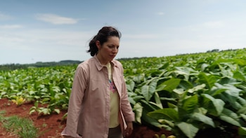 Lucía Salinas estrena “HUMO: el