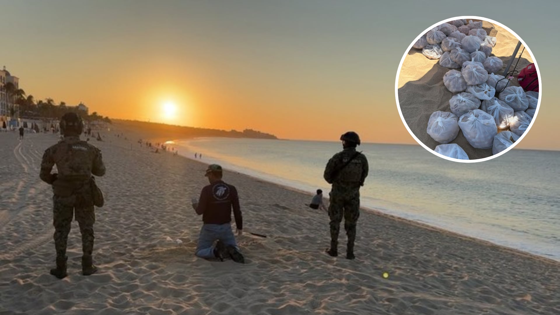 Marina y Profepa aseguran 10 mil huevos de tortuga golfina en Los Cabos, BCS