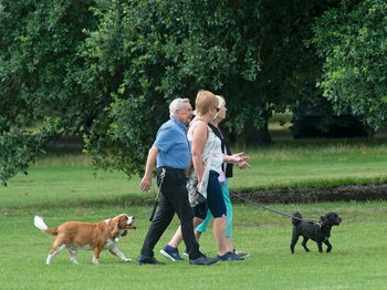 Las personas con perros se