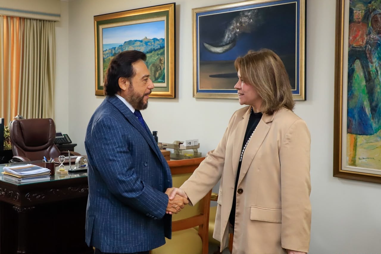 Félix Ulloa recibió en San Salvador a la embajadora Şule Öztunç para consolidar los lazos diplomáticos y promover el intercambio comercial./(Vicepresidencia de la República)