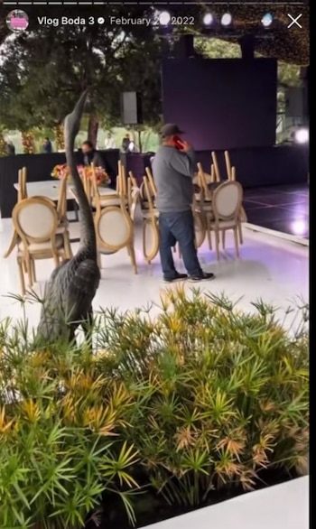 Imagen QTSJY7HVKZGVLO3N3MR4O7GHTI