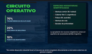 Circuito operativo de la captura pesquera en Malvinas - Infografía