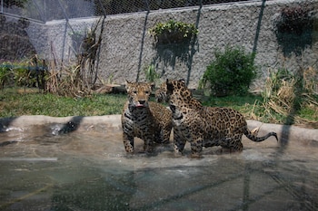 parque de las leyendas