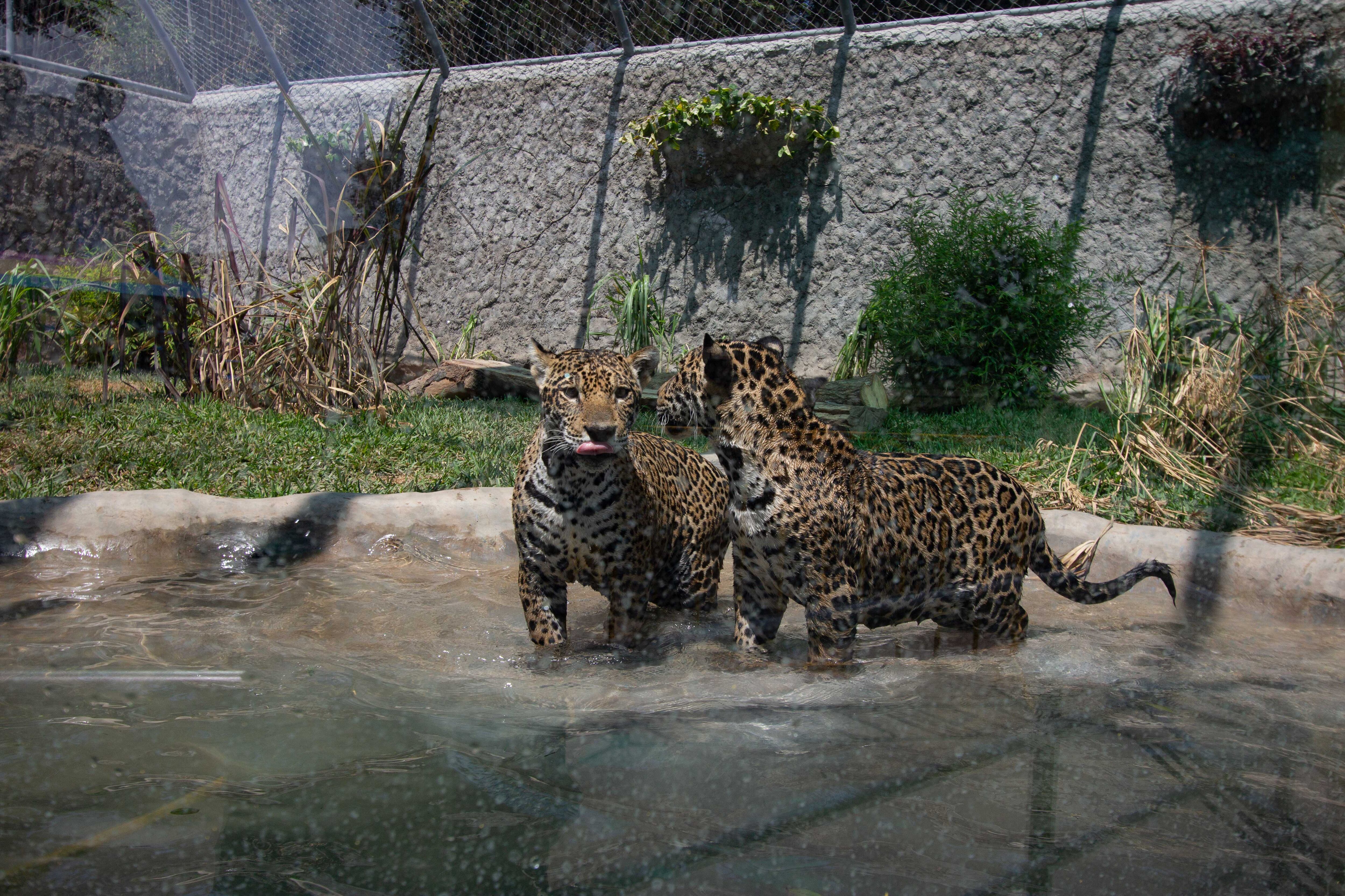 parque de las leyendas