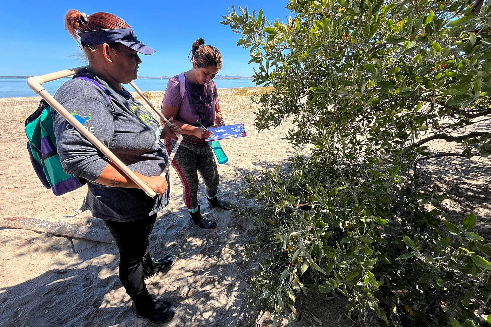 México registra un repunte de violencia contra defensores ambientales en 2025. (CRÉDITO OBLIGATORIO)