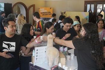 Los resultados de Lima Experience