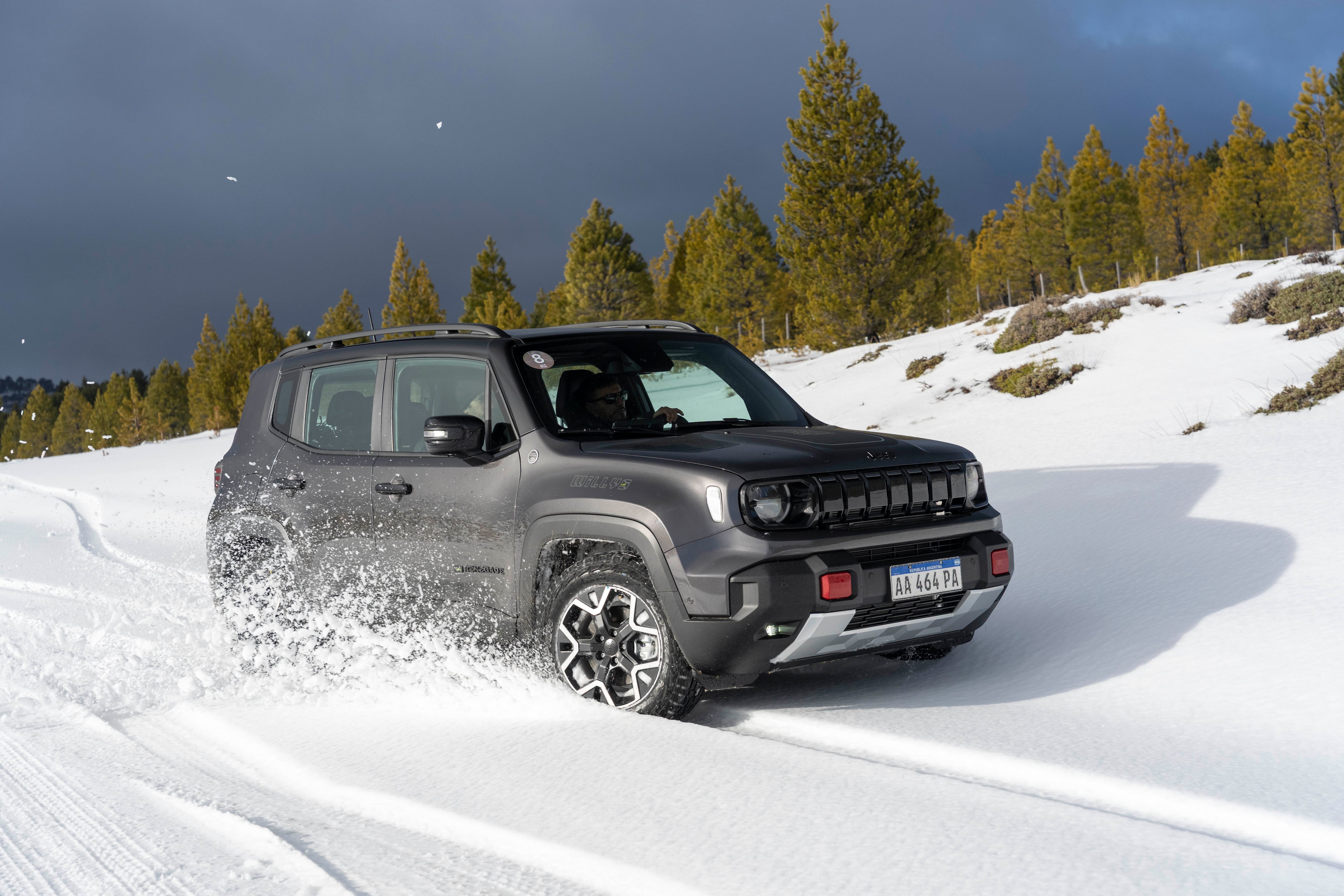 El Jeep Renegade Willys circulando a más de 2.000 metros de altura, en un bosque de pinos canadienses que invadieron los bosques originarios de araucarias en el Noroeste de Neuquén. (Stellantis Argentina)