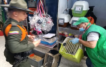 La Policía Metropolitana, el IDPYBA