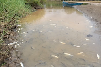Santander, 23 de marzo de