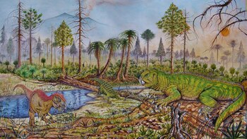 Hallan una nueva especie de