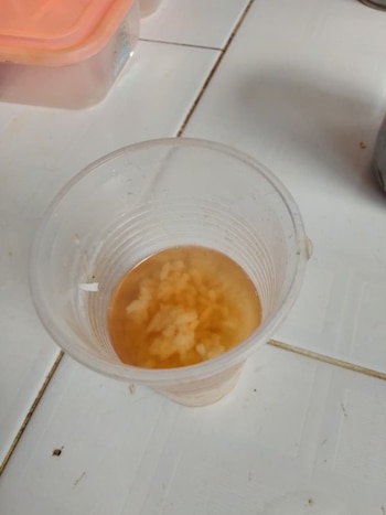 Almuerzo de arroz con caldo Kilo 8 Camaguey