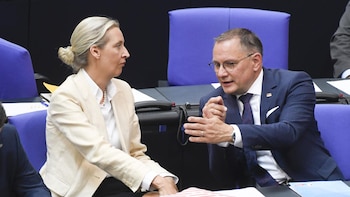 La cúpula de la ultraderechista AfD revalida mandato antes de las cruciales elecciones regionales