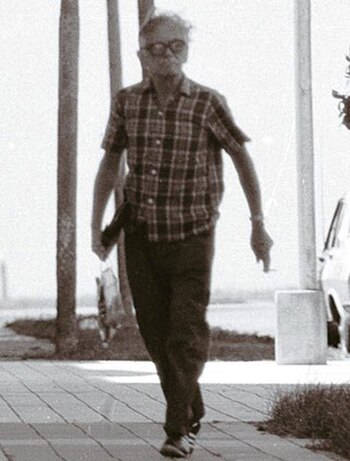 Una de las fotografías que