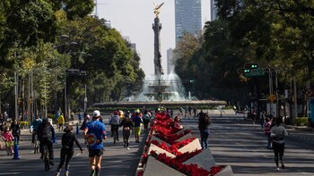 Miles de flores rojas llenarán