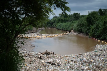 Desde 2022, las intervenciones en