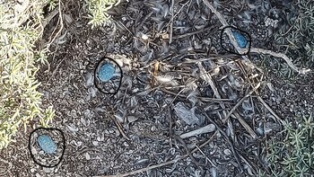 Se utilizaron 10 toneladas de