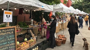 Sabe la Tierra cuenta con