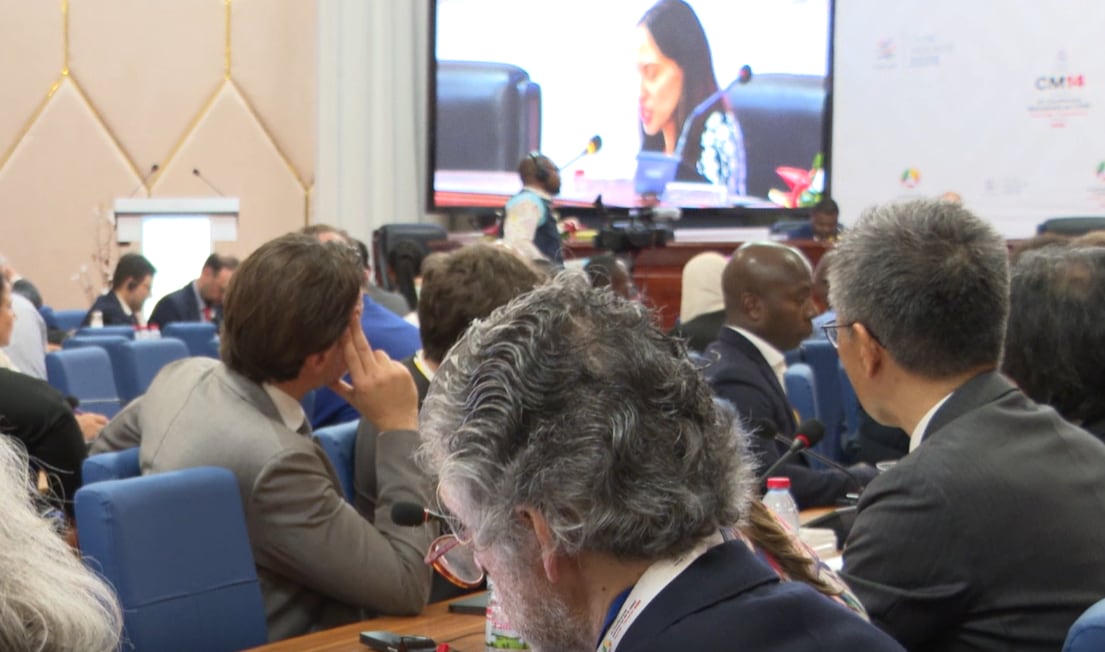 La Unión Europea y otros 65 países acuerdan mantener una moratoria provisional sobre aranceles digitales, limitada solo a sus participantes./(OMC)