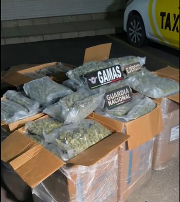 Paquetes asegurados
(Foto: Policía de