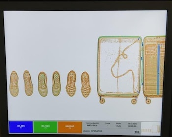 Fueron detectadas irregularidades en la