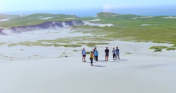 Siete personas permanecen de pie en la cima de una duna de arena clara, con vegetación y el océano en el fondo
