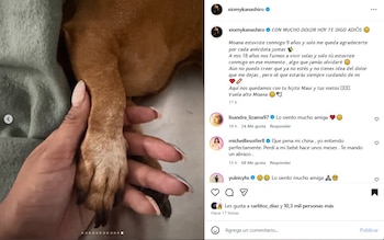 Xiomy Kanashiro anuncia lamentable pérdida: