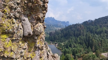 Gran roca con líquenes amarillos y grises en primer plano. Lago rodeado de bosque denso y montañas distantes bajo cielo nublado
