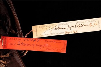 La etiqueta que El Smithsonian