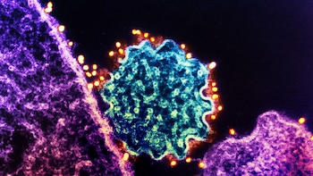 Esto advertía el Gobierno de