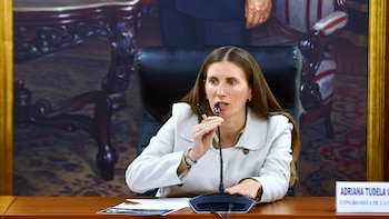 Congresista Adriana Tudela admite ignorar