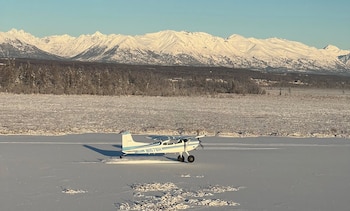 A apreensão do avião de US$ 95 mil ocorreu depois que um pacote de seis cervejas foi encontrado em um voo para uma cidade no Alasca onde o álcool era proibido (@Vitamvivere).