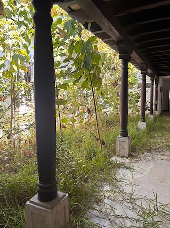 Corredor exterior con pilares de madera y techo. A la izquierda, un jardín con árboles pequeños y abundante pasto verde. El suelo es de cemento con hierba