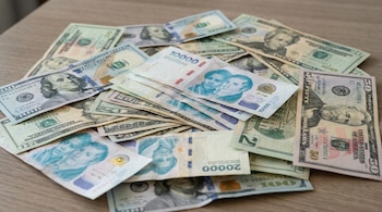 Una variedad de billetes de